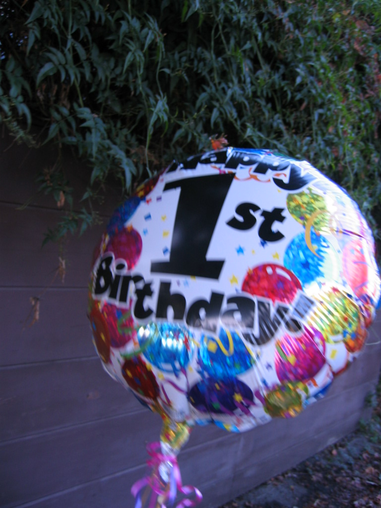 [IMG_1761+birthday+balloon.JPG]