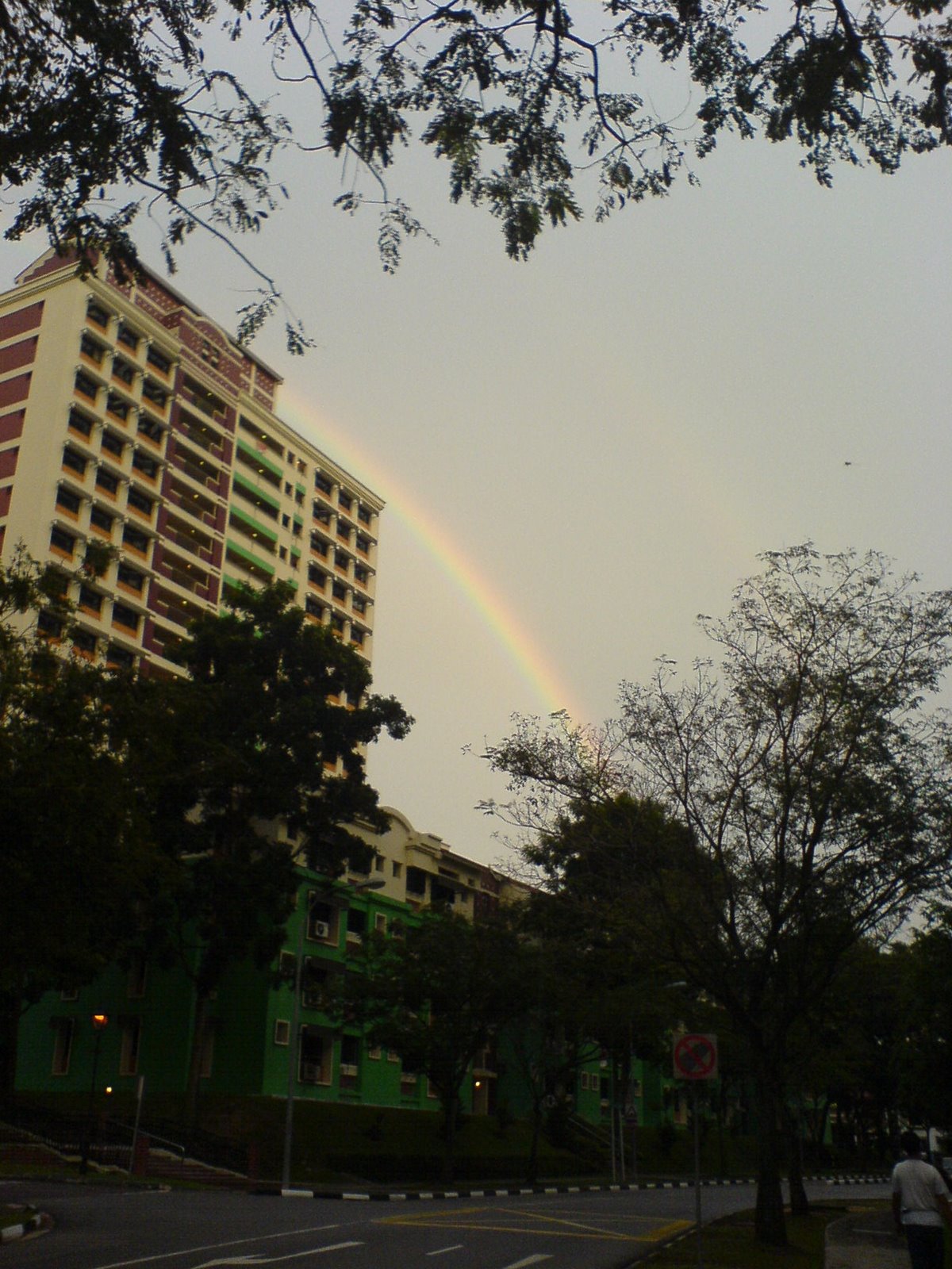 [rainbow+3.JPG]