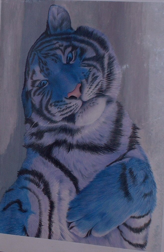 [blue+tiger.jpg]