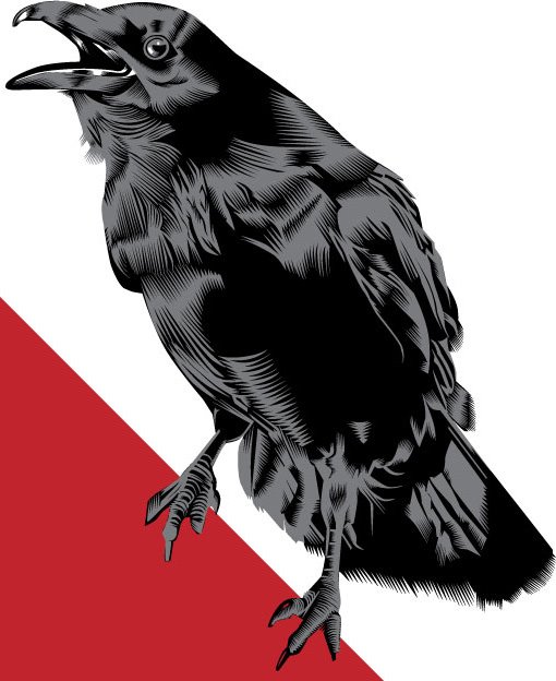 [blackbird2bw-AI9.jpg]