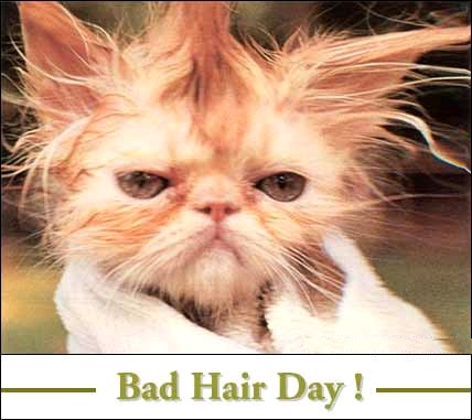 [Bad+Hair+Day.jpg]
