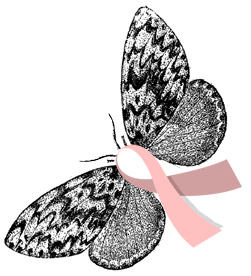 [breast_cancer_awareness_moth.jpg]