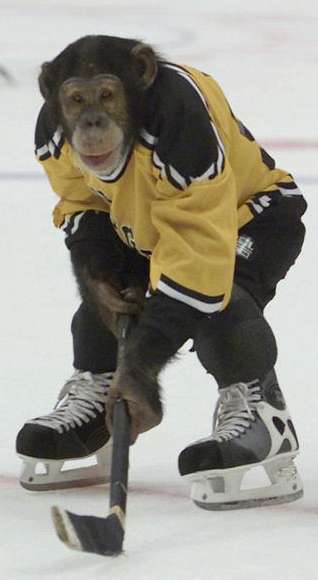 [monkeyhockey.jpg]