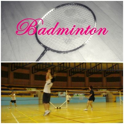 [badminton+4.jpg]