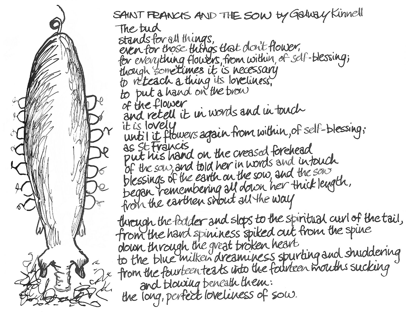 [St+Francis+&+the+Sow.jpg]