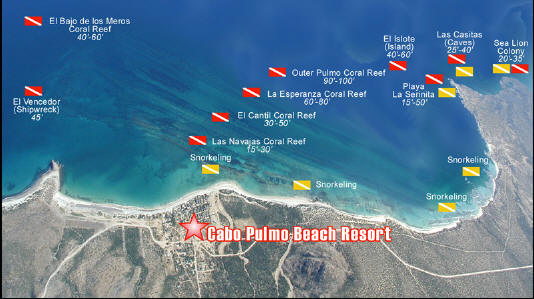 [Cabo+Pulmo+Dive+Map.jpg]