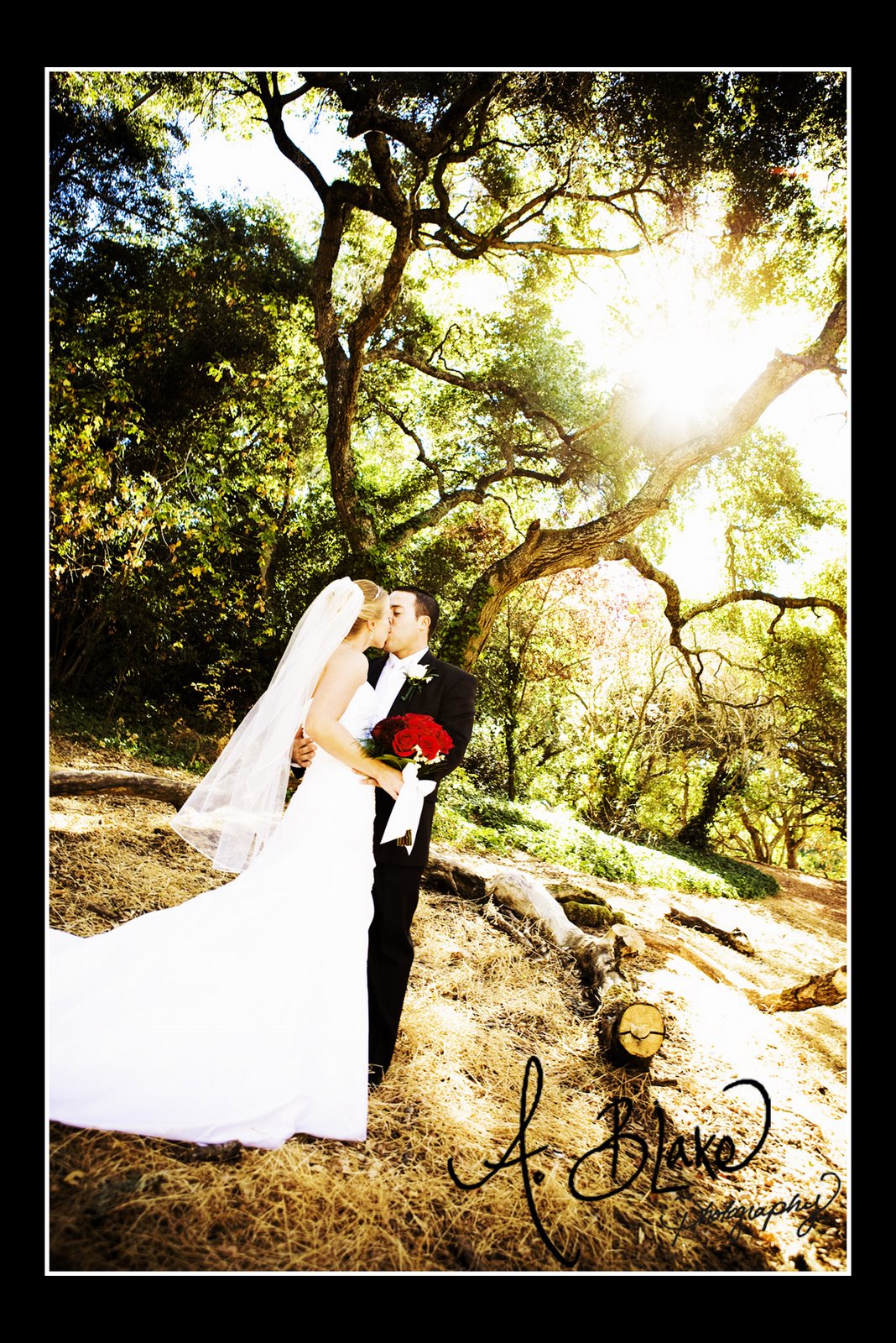 [Nieves+Wedding369.jpg]