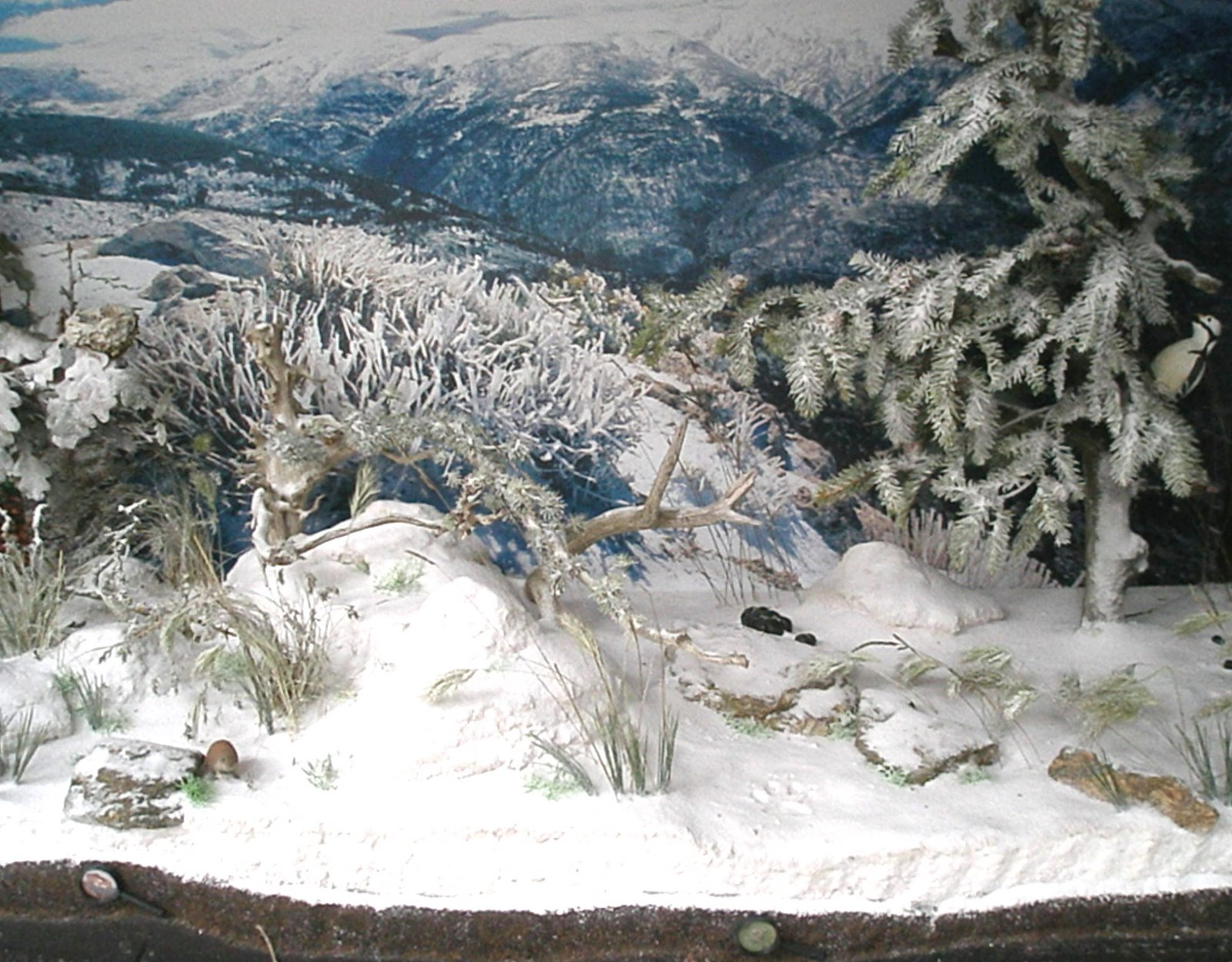 [modulo+diorama+de+invierno.jpg]