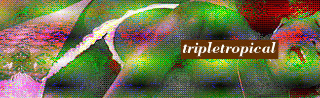 tripletropical