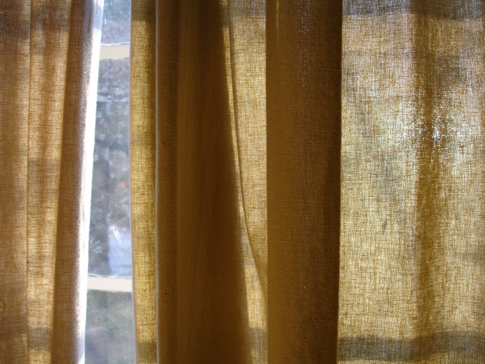 [curtains.JPG]