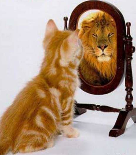 [Autoestima+gato+leon.jpg]