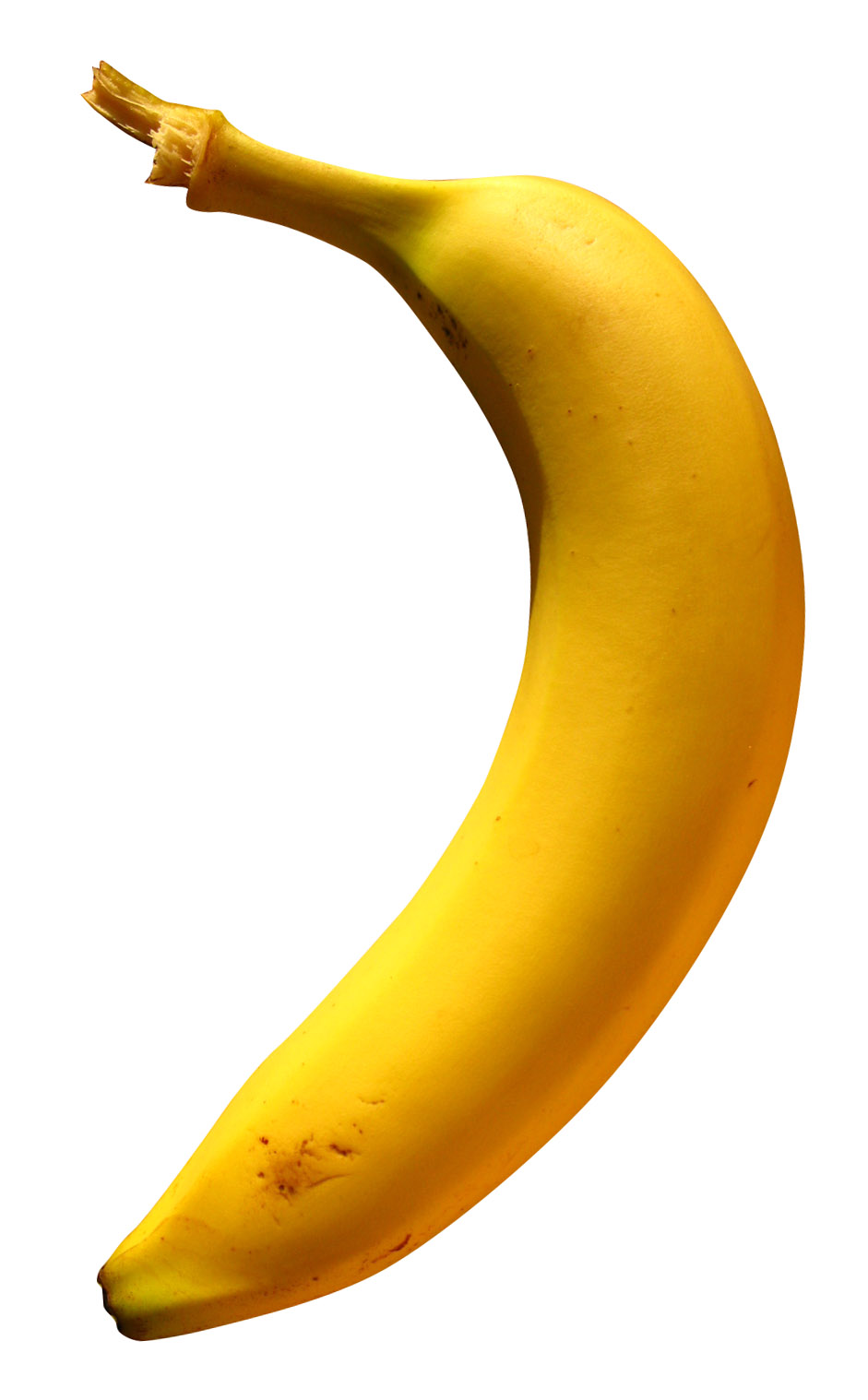 [4-20-2008+Banana.jpg]