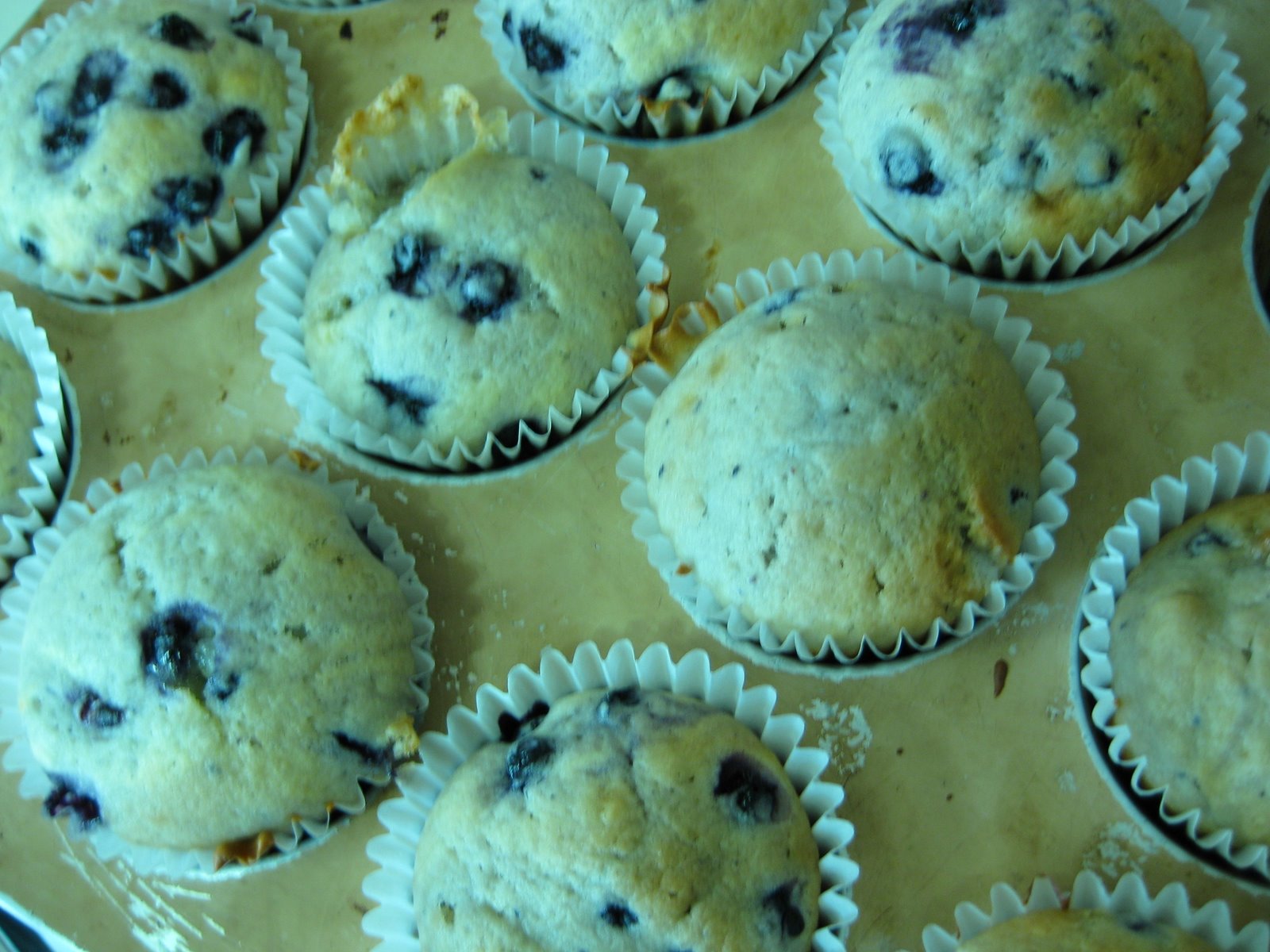 [blueberry+muffins+016.jpg]
