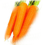 [carrot]
