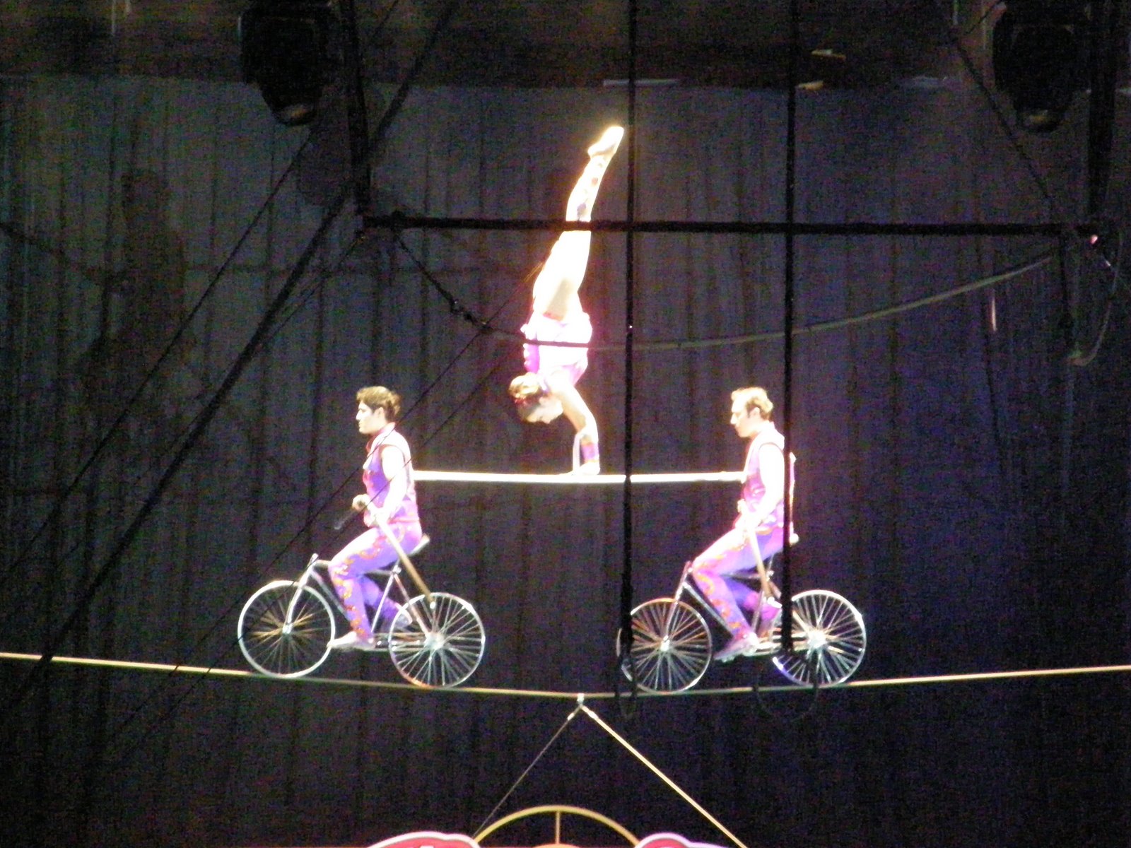 [circus+01.JPG]