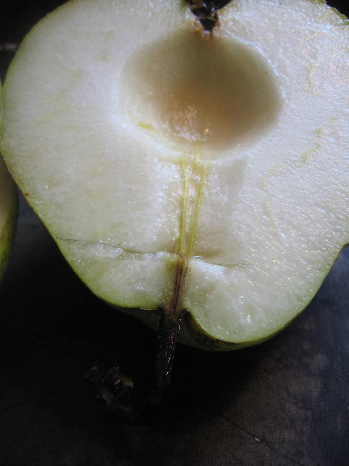 [pear.JPG]