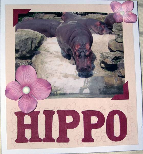 [hippo1.jpg]
