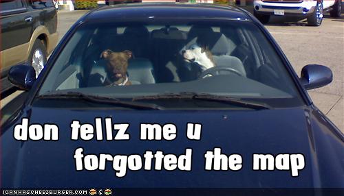 [loldogs-funny-picture-you-forgot-the-map.jpg]