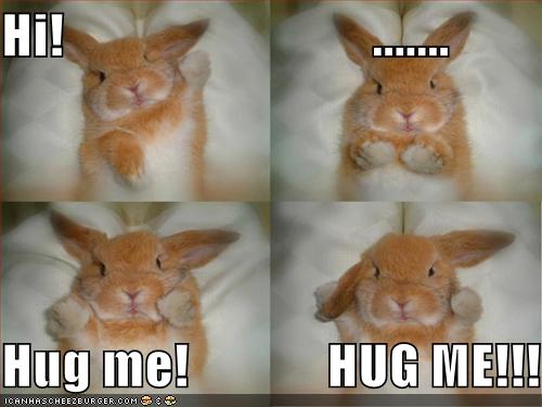 [funny-pictures-bunny-wants-hug.jpg]