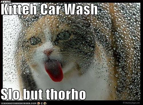 [kitty+car+wash.bmp]