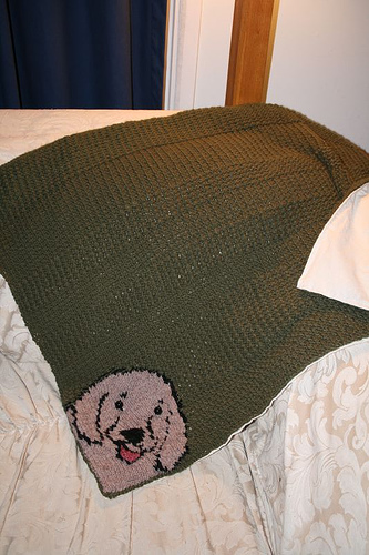 [2007-02-06-bailey-blanket.jpg]