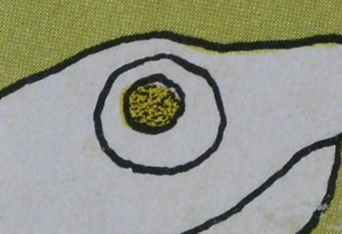 [Turtle+Eye+5.JPG]