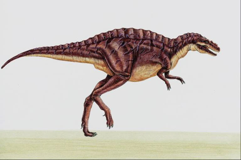 [acrocanthosaurus2.jpg]