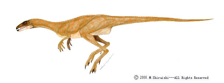[Lesothosaurus.jpg]