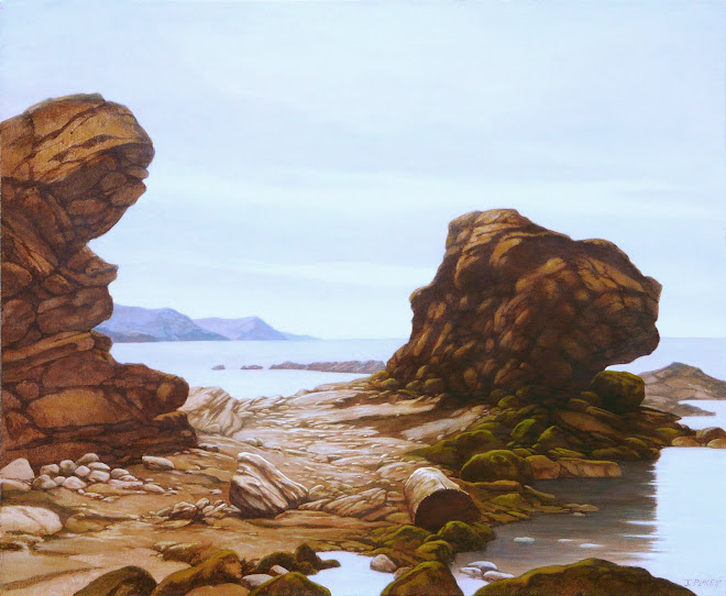 rochers au bord de la mer