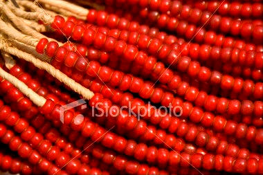 [ist2_2129575_red_african_glass_beads.jpg]