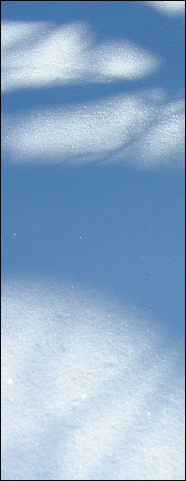 [snowsparkle.jpg]