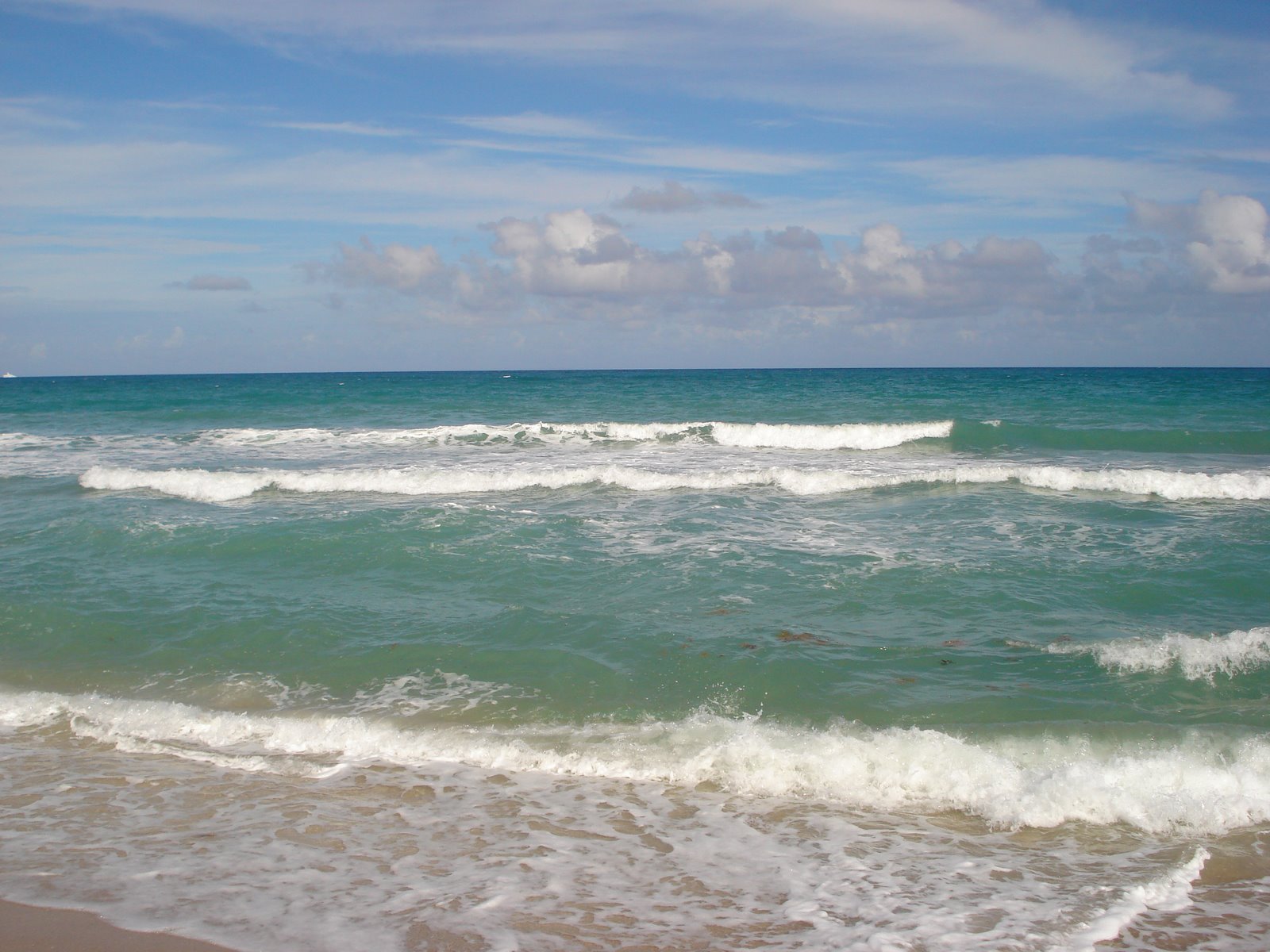 [Beach+in+Ft.+Lauderdale+002.jpg]
