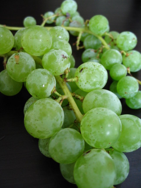 [grapes+013.jpg]