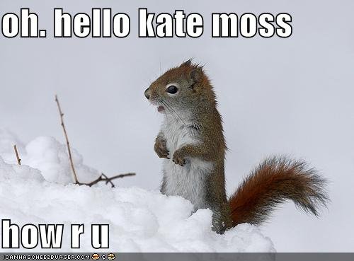 [hello+kate+moss+how+r+u.bmp]