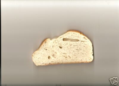 [Mouse+Bread+slice.JPG]