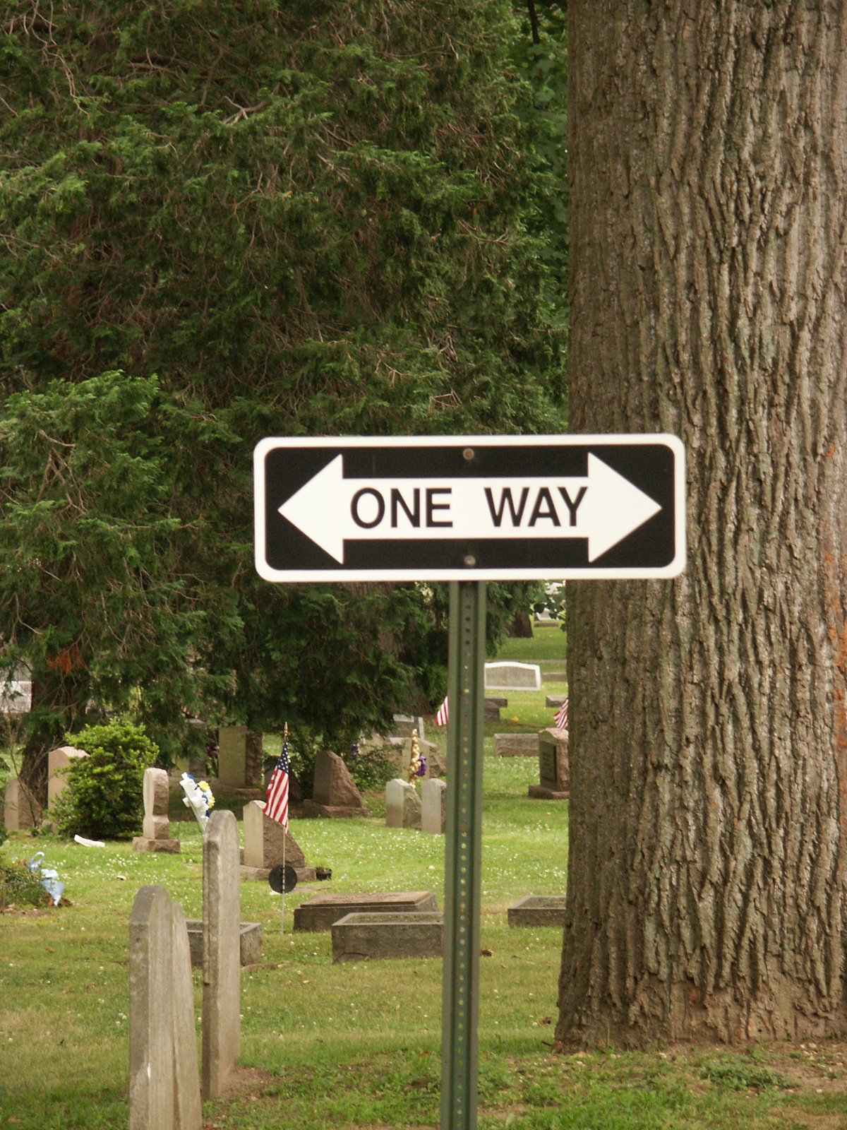 [one-way.jpg]