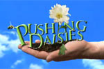 [pushing-daisies.jpg]