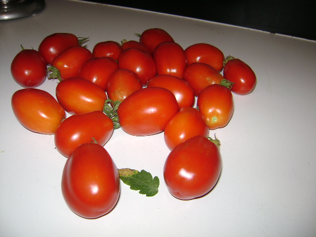 [Plum+Tomatoes.JPG]