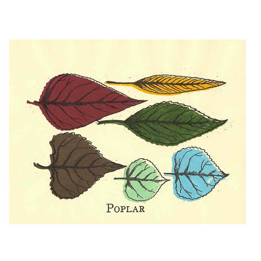 [poplars.jpg]
