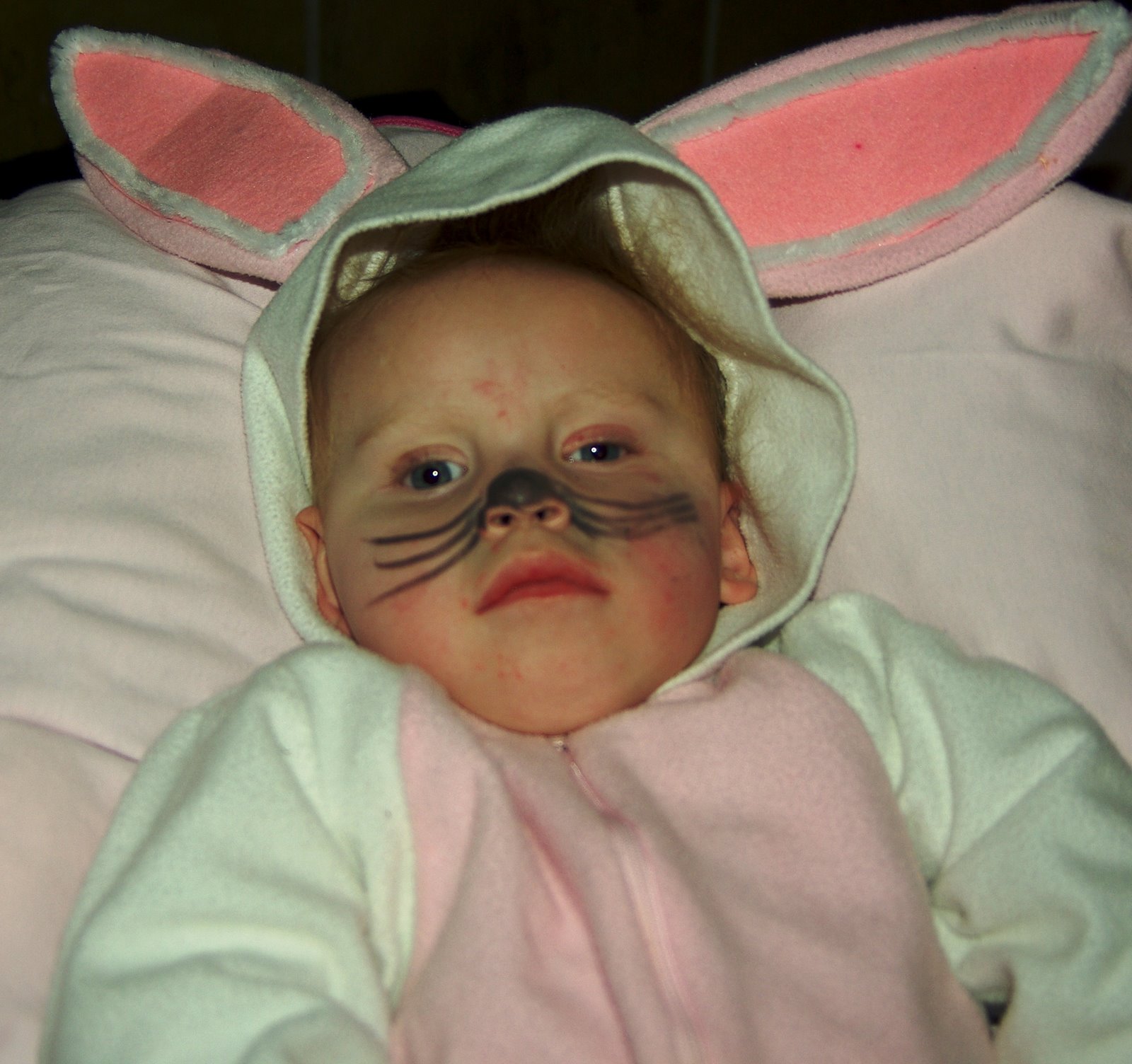 Sam the Bunny- Halloween 2007