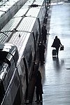 [Estacion-de-Atocha--Madrid--Espana--5715.jpg]