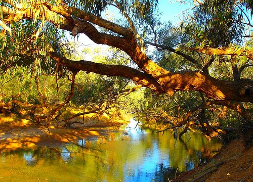 [outback_river.jpg]