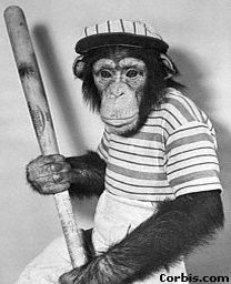 [Monkey-Holding-Baseball-Bat.jpg]