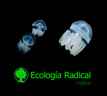[Ecolog√≠a+R(a)dical15+TB(A)SM.jpg]