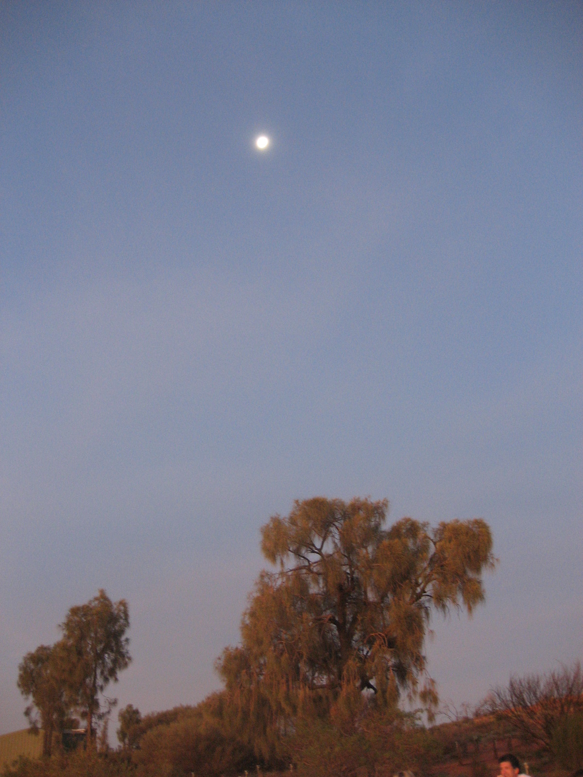 [waxing+moon+just+after+sunset.jpg]