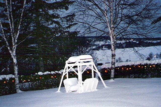 [winter+swing.jpg]