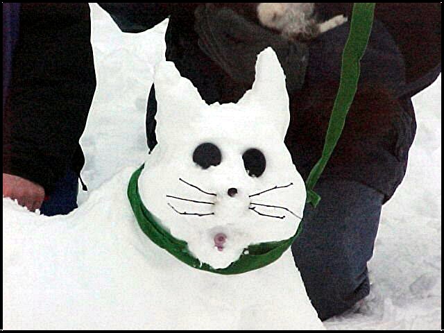 [snow+dog+one.jpg]