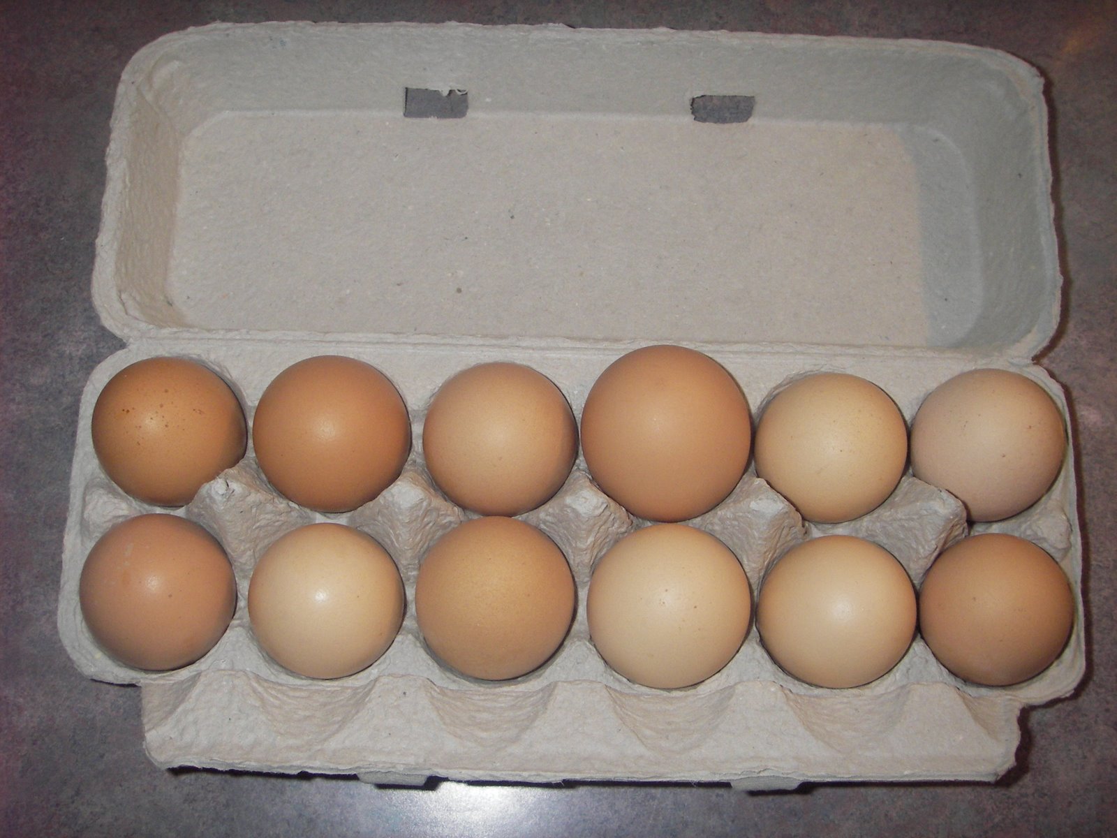 [eggs]
