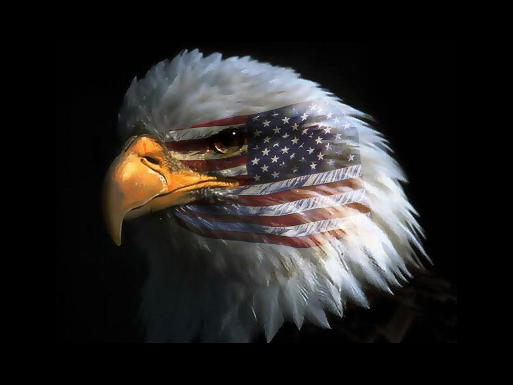 [eagle+eye+american+flag.jpg]