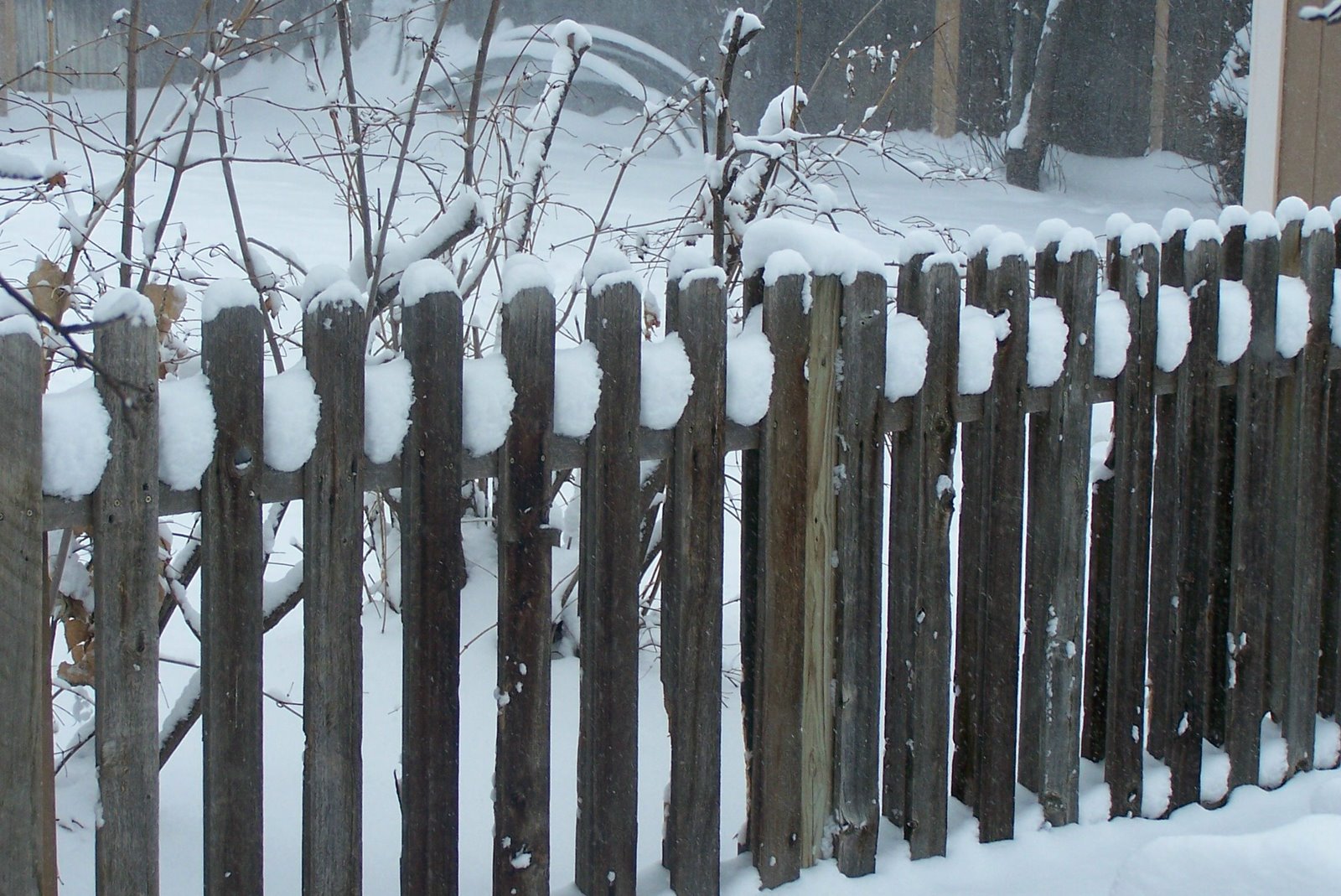 [Snowy+fence.jpg]